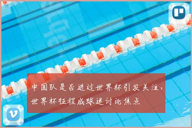 中国队是否进过世界杯引发关注,世界杯征程成球迷讨论焦点