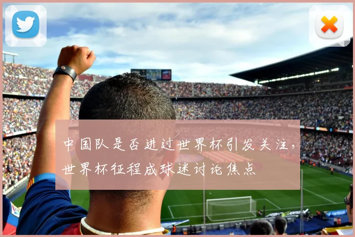 中国队是否进过世界杯引发关注,世界杯征程成球迷讨论焦点