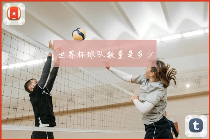 世界杯球队数量是多少
