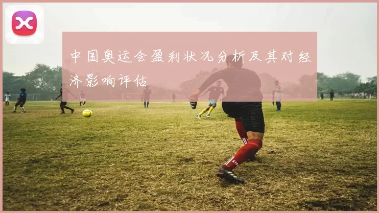 中国奥运会盈利状况分析及其对经济影响评估